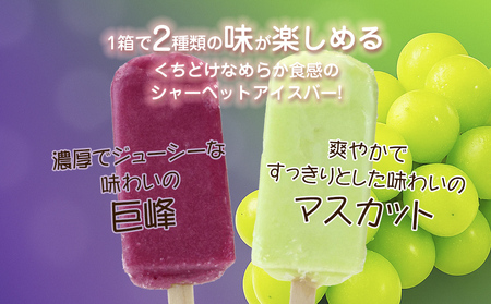 フタバ食品　ぶどうの季節 4箱セット　4箱セット　計24本/人気返礼品 フタバ食品 福袋 スイーツ デザート 大容量 プレミアム 人気 お取り寄せ 限定品 オリジナル 食べ比べ 詰め合わせ 氷菓子 バニラ チョコ アソート 大人におすすめ 子供 おやつ 夏 ひんやり 一押し