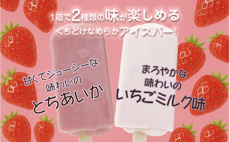 フタバ食品　とちあいか®の季節　4箱セット　計24本/人気返礼品 フタバ食品 福袋 スイーツ デザート 大容量 プレミアム 人気 お取り寄せ 限定品 オリジナル 食べ比べ 詰め合わせ 氷菓子 バニラ チョコ アソート 大人におすすめ 子供 おやつ 夏 ひんやり 一押し