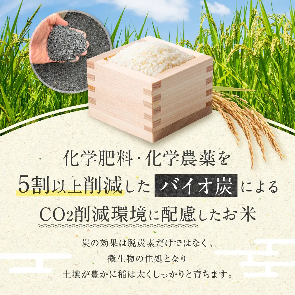 【令和7年産】つや姫 5kg×1 CO2削減 環境配慮米｜7年産米 つや姫 ブランド米 銘柄米 SDG’s 宮城県角田市産 米 コメ 白米 精米