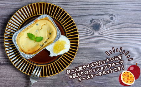 【おやつの実 Lafra】パッションフルーツチーズケーキ6個セット