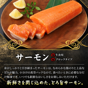 生食用 サーモン ブロック(250g×1P) 鮭 小分け 真空 パック 冷凍 刺身 シャケ サケ 魚 魚介 【AW-97】【丸正水産】