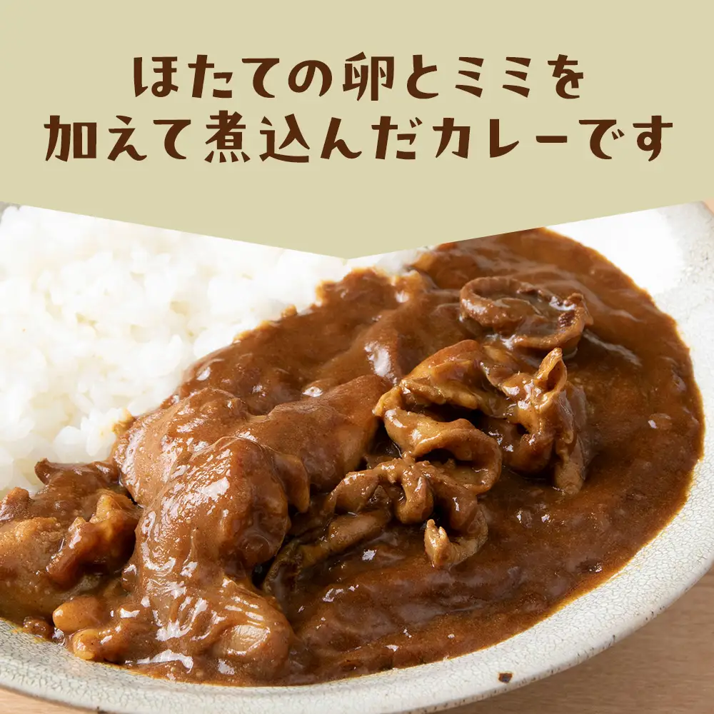 ホタテの卵とミミのはまとんカレー（中辛）5箱