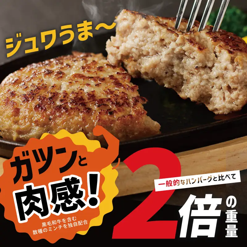【定期便】黒毛和牛入り BIGハンバーグ（200g×12個）全6回 