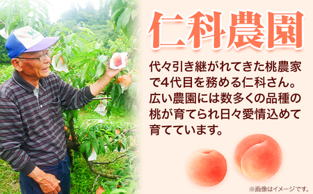 桃 通常品種おまかせ 2kg もも 桃