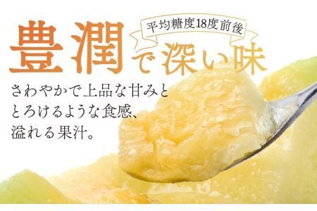 勝山産アールスメロン 1個入り（青肉）※2026年7月下旬以降順次発送 [A-060005]