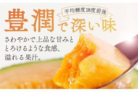 勝山産アールスメロン 1個入り（赤肉）※2026年7月下旬以降順次発送 [A-060006]