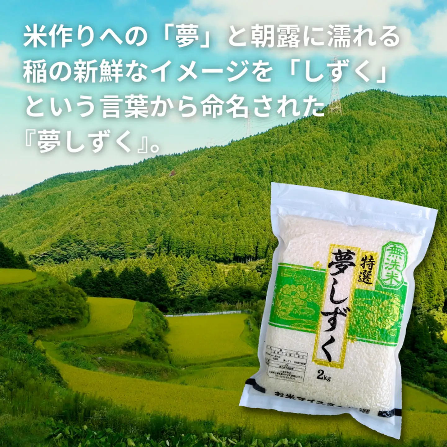 五つ星お米マイスターが厳選！【無洗米】夢しずく 2kg（真空パック）：B110-059