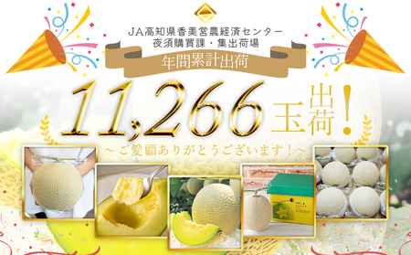 【２回定期便】夜須のエメラルドメロン 2玉 テレビ朝日「ザワつく!金曜日」で特集 紹介 くだもの フルーツ ギフト マスクメロン 青肉 ブランド ギフト 贈答用 ご褒美 高級 1個 お礼 御祝 産地直送 JA 高知県農業協同組合 香南市 常温 Wyu-0060