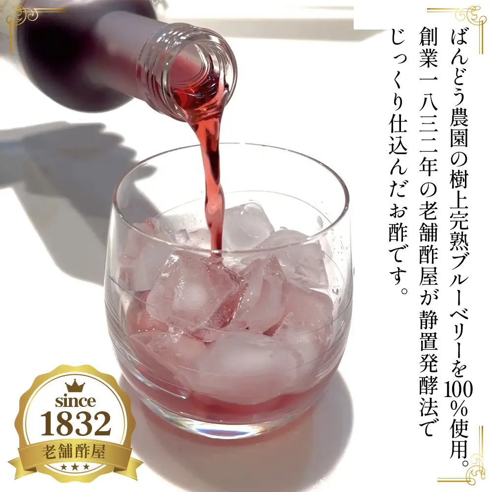 飲む果実酢　ブルーベリービネガー300ml ／ 調味料 健康食品 果実酢 飲む酢 ヘルシー 酢 完熟 ブルーベリー 老舗 静置発酵 酢の物 ドレッシング 茨城県 No.877