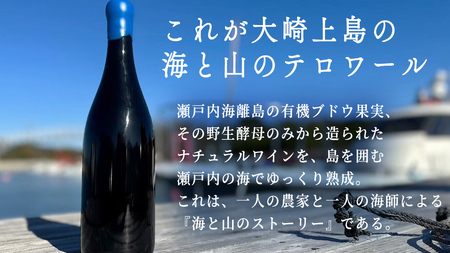 海底貯蔵 ワイン 「海底貯蔵 エヌ by Vignoble de NAKA rouge MBA」【2026年6月以降発送】