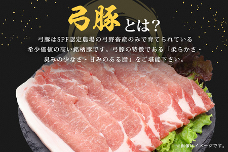 弓豚　ロース生姜焼き用（4mm）1kg 豚 豚肉 お肉 肉 産地直送 国産 茨城県 石岡市 C09-019