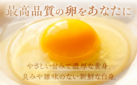 産みたてたまご 30個 ( 割れ保証込み 25個 ＋ 5個 ) 卵 たまご ナガイタマゴ 鶏卵 卵かけごはん 海苔 エサ 赤玉 パック 赤鶏 卵かけご飯 玉子焼き 玉子 国産 新鮮 小分け パック ギフト