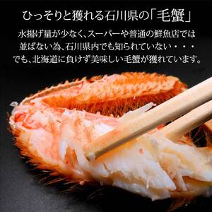 毛ガニ 毛蟹 訳あり 2〜4匹 1.0kg セット 石川県産 茹で蟹 F6P-3033