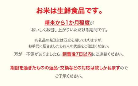 令和7年産 雪若丸 精米 10kg mo-ywxxa10