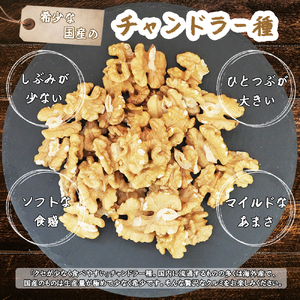 高級かしくるみ「長和チャンドラー」500g　希少な国産チャンドラー種　信州長和産　自社農園直送
