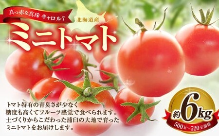 ミニトマト 約6kg 野菜 トマト キャロルセブン とまと 高糖度 浦臼産 北海道産 国産 6kg 北海道 浦臼町 【2026年7月下旬～9月上旬発送予定】