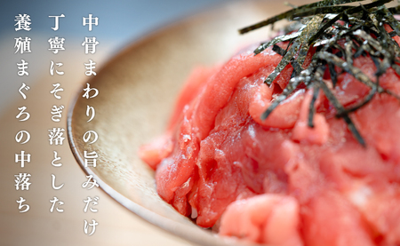マグロ 中落ち 400g 本まぐろ 刺身 ネギトロ まぐろたたき 金賞受賞 年末年始 正月
