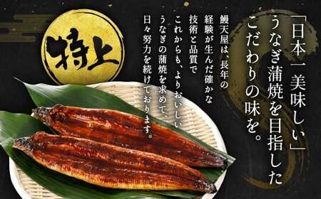【10営業日発送】 九州産 うなぎ蒲焼 特上 1尾 （220～235g） うなぎ蒲焼き うなぎ 鰻 ウナギ 蒲焼 蒲焼き 特大サイズ 冷凍 福岡県 北九州市