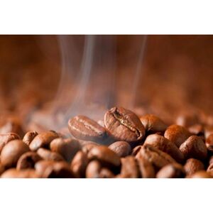 スペシャリティコーヒー　コスタリカ　（セントタラス地区産　SHB）　遠赤外線焙煎500ｇ　コーヒー豆 珈琲 豆