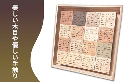 樹種を学べる 無垢材ブロック　おすすめ16種セット　 飾って学べる、暮らしの中の木材図鑑 