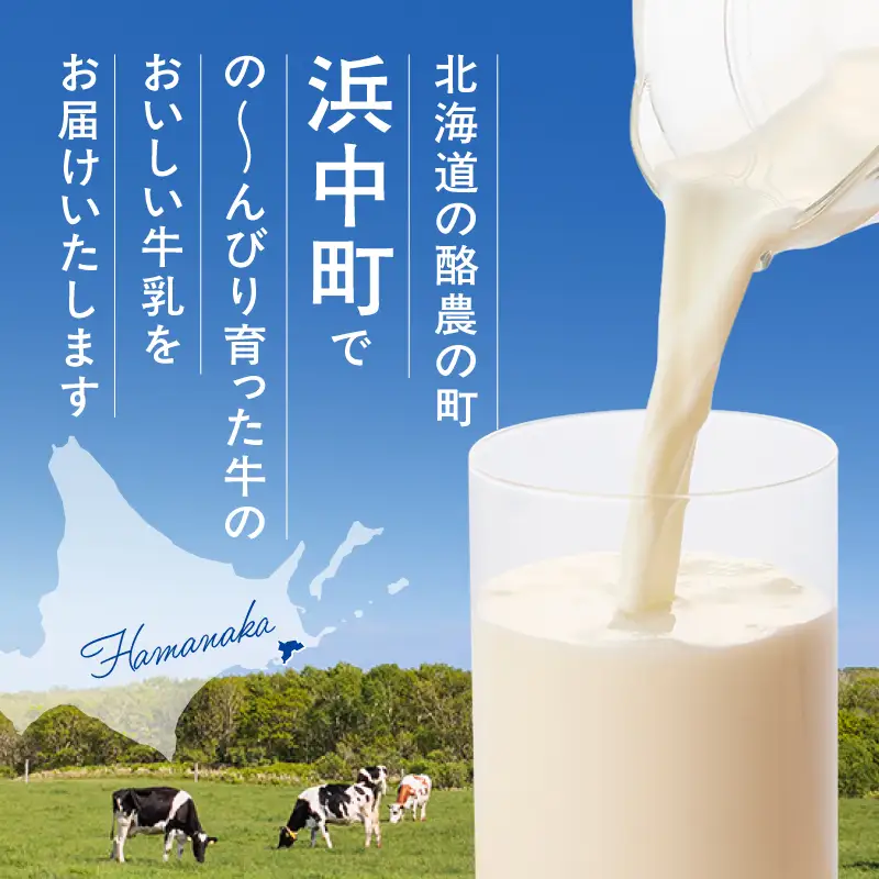 【毎週届く4回定期便】北海道4.0牛乳(1,000ml×2本)_H0026-106
