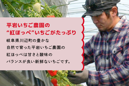いちごの豆乳アイス 110ml 6個 アイス アイスクリーム いちご イチゴ 苺 豆乳 味 風味 岐阜県 川辺町 A06-012