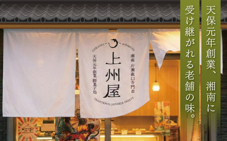 江ノコロ クッキー 江ノ電土産 クッキー