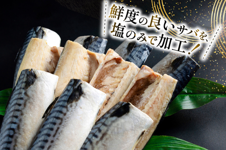 訳あり 減塩 無添加 トロ塩サバ フィレ Sサイズ 総重量 3kg [足利本店 宮城県 気仙沼市 20565959]