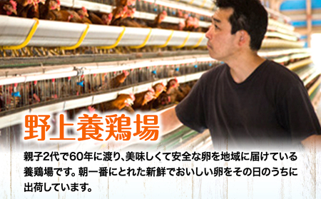 味宝卵使用 卵黄のみ たまご屋さんの濃厚 マヨネーズ 300g 2本 野上養鶏場《60日以内に出荷予定(土日祝除く)》福岡県 鞍手町 味宝卵 卵黄 濃厚 マヨネーズ マヨ サラダ ディップ トースト 万能 調味料