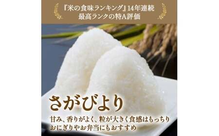 【先行予約】牟田農園のさがびより 5kg （5kg × 1袋） 【令和8年産】 ＜精米＞ さがびより お米 おコメ おこめ 米 コメ こめ もっちり 牟田農園 国産 佐賀県 太良町