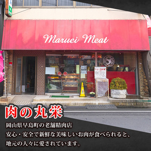 お肉屋さんの手作りミニハンバーグ(60g10個入り)