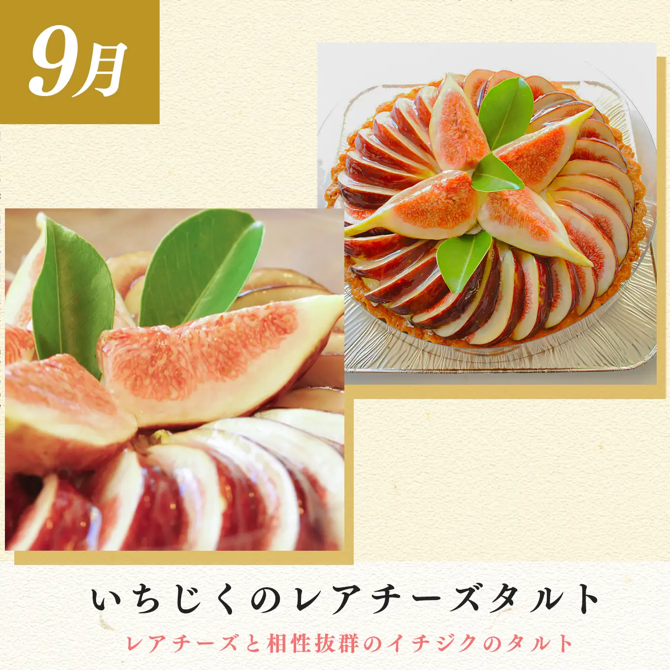 【定期便 3回】スイーツ ドルチェ レアチーズタルト チーズケーキ プリン ぷりん 9～11月