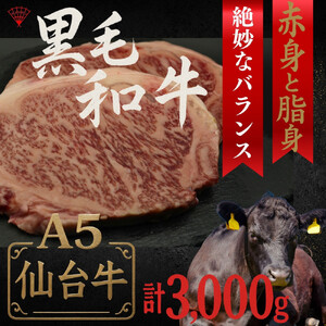 仙台牛のサーロインステーキ 300g×10個　ステーキ