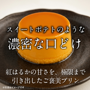【茨城県産紅はるか使用】 濃厚 スイートポテト プリン 4個｜プリン スイーツ デザート おやつ お菓子 さつまいも スピード発送 行方市(CU-341)