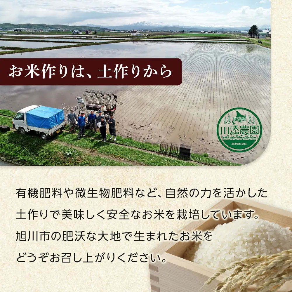 令和7年産　ゆめぴりか 無洗米 真空パック 5kg×2袋 10kg | ゆめぴりか_05241