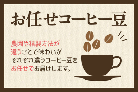 コーヒー豆 自家焙煎 ホンジュラス スペシャルティコーヒー ギフトセット【メディオ】焙煎豆200g×2パック 粗挽き【豆種類お任せ】