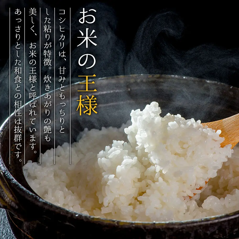 【選べる回数】R7年産コシヒカリ 5kg プロ厳選の産地直送米　白米 お米 人気 美味しい 白ご飯 こだわり 農業 甘味 香り ツヤ お米の王様 熊本県 阿蘇市