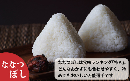 【令和7年産】生活応援！価格大幅改定！ＪＡ当麻　特Ａななつぼし無洗米　5kg　北海道米 当麻町 お米 送料無料 定期便 アリ 米【A-017】
