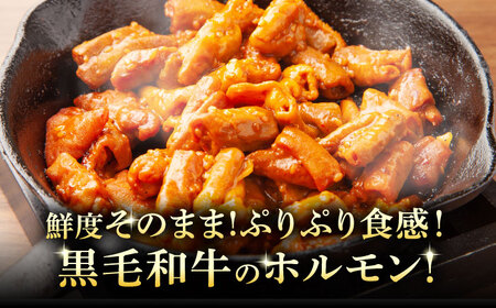 黒毛和牛ホルモン 味噌 600g （300g×2袋） [AZCW053] 黒毛和牛