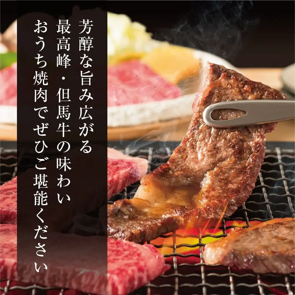 ＜但馬牛＞焼肉 赤身&霜降り 特選セット500g【FARMEISTER平山牛舗FH02】