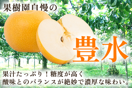 【2026年先行予約】【家庭用】新潟県産 豊水梨 3kg（7～11玉）《9月上旬以降発送》 和梨 なし ナシ 果物 ほうすい フルーツ 新潟県産 加茂市 いたみ果樹園 