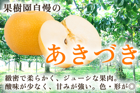 【2026年先行予約】【家庭用】新潟県産 あきづき梨 3kg（7～11玉）《9月上旬以降発送》 和梨 なし ナシ 果物 フルーツ 新潟県産 加茂市 いたみ果樹園 