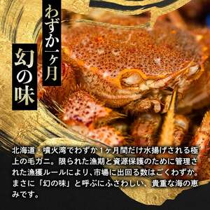 【訳あり】北海道・噴火湾産冷凍ボイル毛ガニ約350g前後×5尾 ＜海鮮問屋　株式会社　瑞宝＞ かに カニ 蟹 ガニ がに 森町 ふるさと納税 北海道 毛蟹 毛かに 毛ガニ 毛カニ mr1-1273