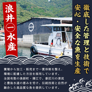 豊後水道 とらふぐ 切り身 (計1.2kg) ふぐ フグ トラフグ ふぐ鍋 唐揚げ ふぐちり てっちり 小分け 切身 切り身魚 切身魚 大容量 国産 冷凍 養殖 岬ふぐ【JJ001】【浪井丸一水産】