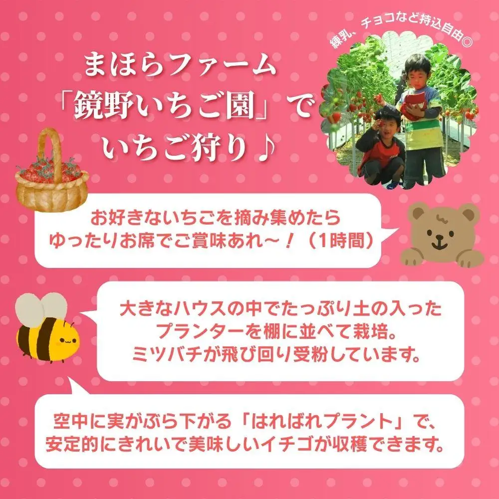 鏡野町まほらファーム いちご狩りご招待券（1名様）【2026年2月～5月】【029-a016】