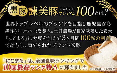 【3回定期便】＜特Aのブランド米で育てた＞黒豚諫美豚プレミアム100 5種セット 計1.2kg( ロースステーキ バラ モモ 切り落とし ひき肉 ) / 豚肉 ロース ステーキ 挽き肉 ミンチ / 諫早市 / 株式会社土井農場[AHAD111]
