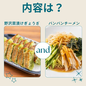 野沢菜漬けぎょうざ1袋・バンバンチーメン1袋セット/ テンホウ [21-48]