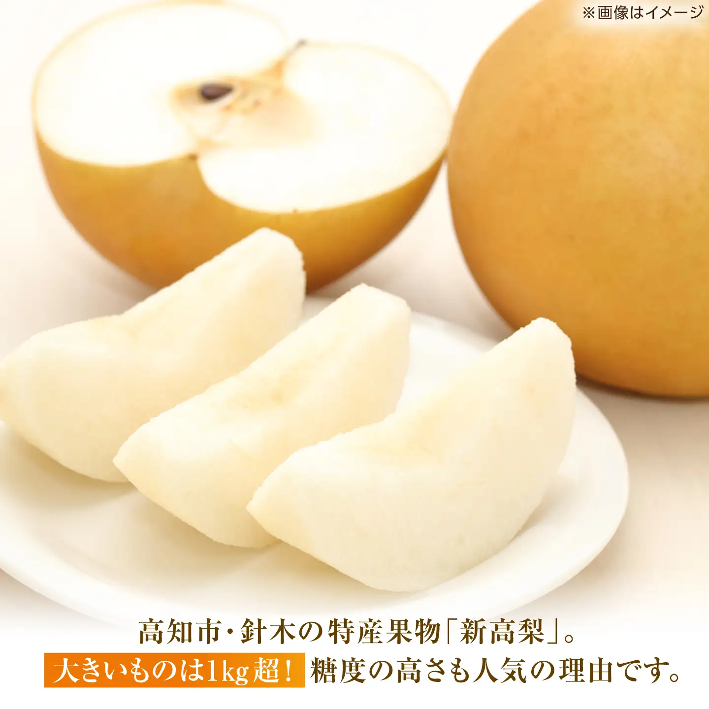 【先行予約】 新高梨 秀 約2.4kg（3玉） 〈2026年9月20日～2026年10月末発送〉 【川渕果樹園】[ATHX006]
