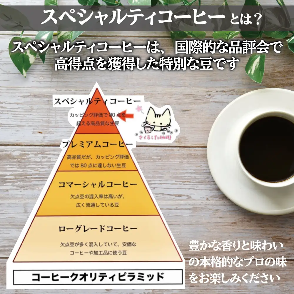 スペシャリティコーヒードリップバッグコーヒー飲み比べ３種セット（ブレンド2個・マンデリン・カツーラ各12g）×2セット 計8個 |  ドリップコーヒー アソート  珈琲 オフィス 贈答 ギフト プレゼント さくらした珈琲