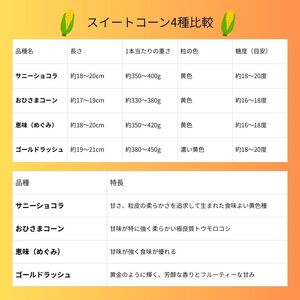 とうもろこし 伊那市産 スイートコーン 約5kg 2Lサイズ 12本入り おひさまコーン 【013-51】